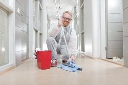 rug cleaning company sw8