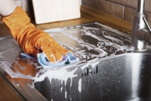DIY Rug Cleaning